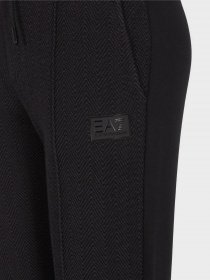 Брюки EA7 Sporty Forever модель 6RTP92-TJPVZ-0224 Фото