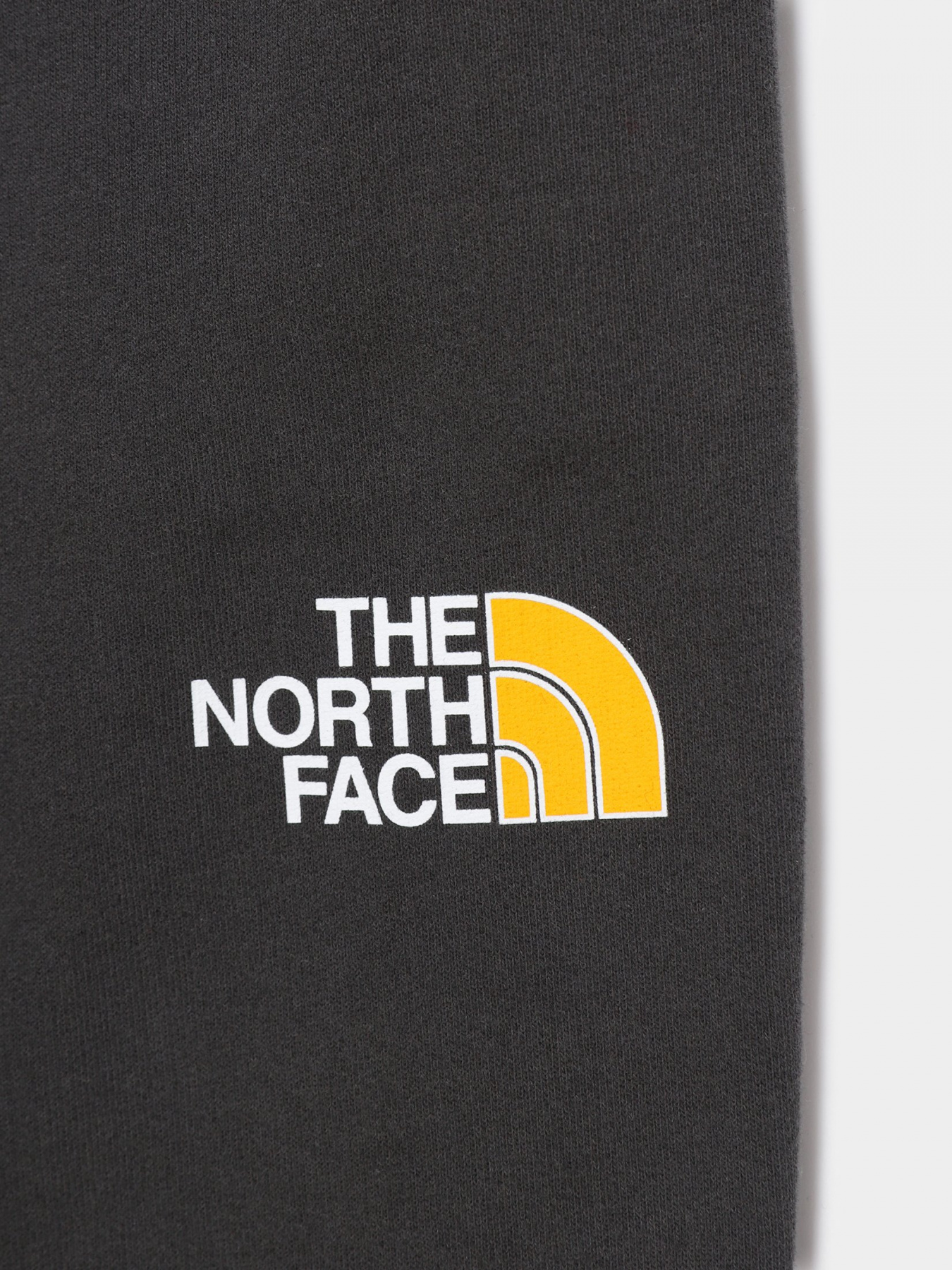 Штани The North Face Youth Drew Peak модель NF0A492WS951 Штани The North Face Youth Drew Peak модель NF0A492WS951 Фото