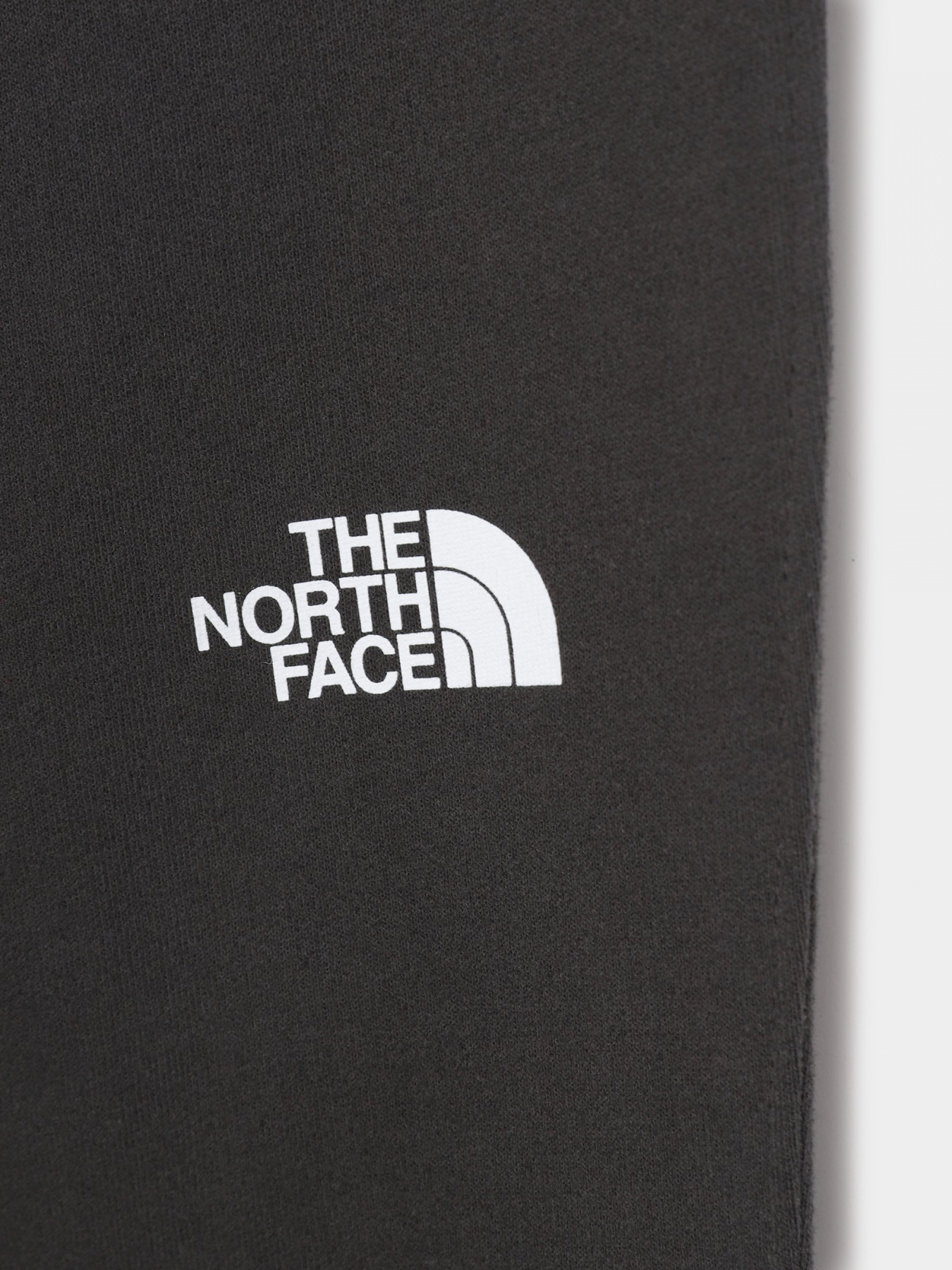Штани The North Face Youth Drew Peak модель NF0A492WS951 Штани The North Face Youth Drew Peak модель NF0A492WS951 Фото