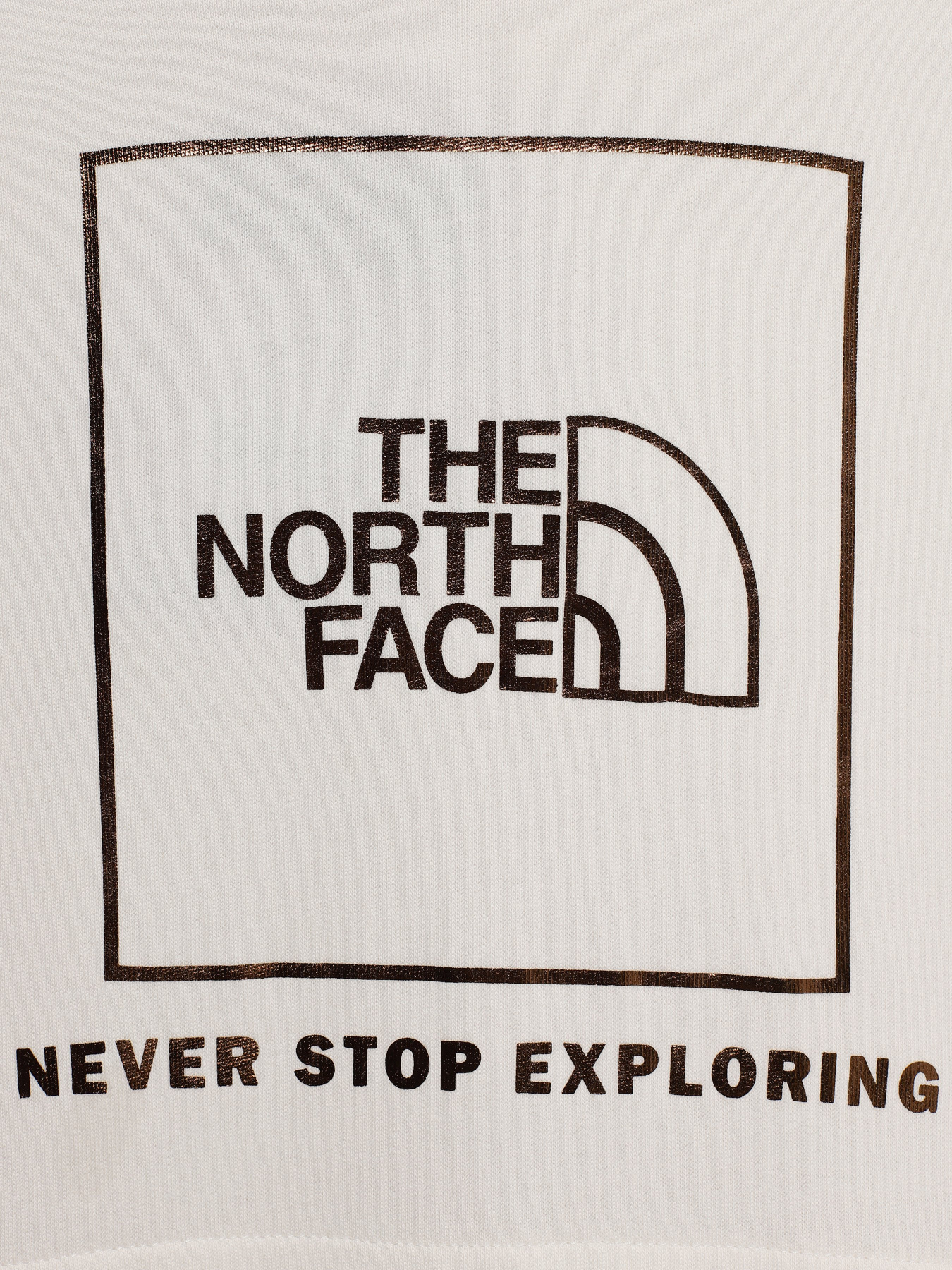 Худі та світшоти The North Face Graphic Relaxed модель NF0A7X4TN3N1 Фото