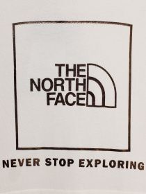 Худі та світшоти The North Face Graphic Relaxed модель NF0A7X4TN3N1 Фото