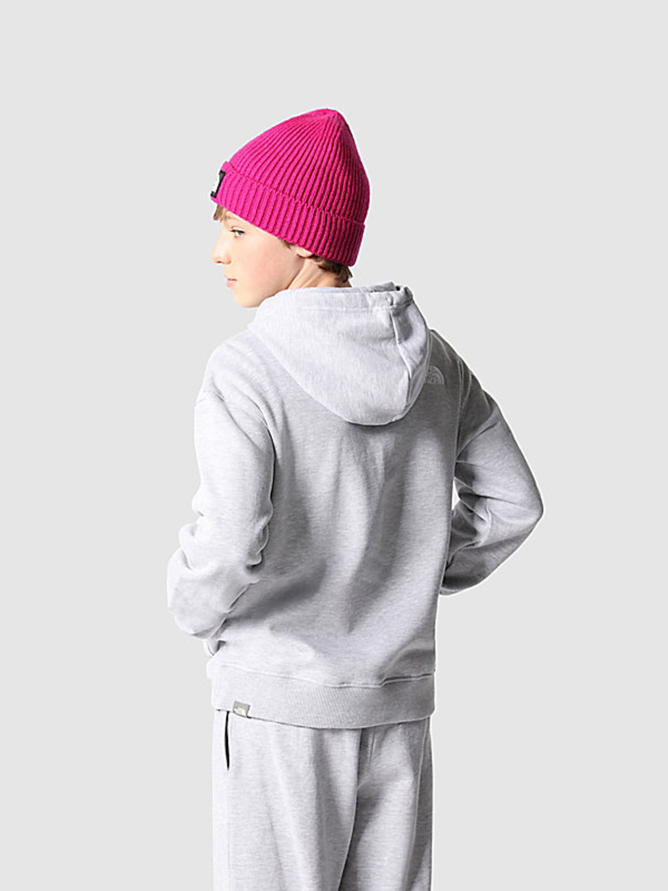 Худі та світшоти The North Face Oversized модель NF0A7X4UDYX1 Фото