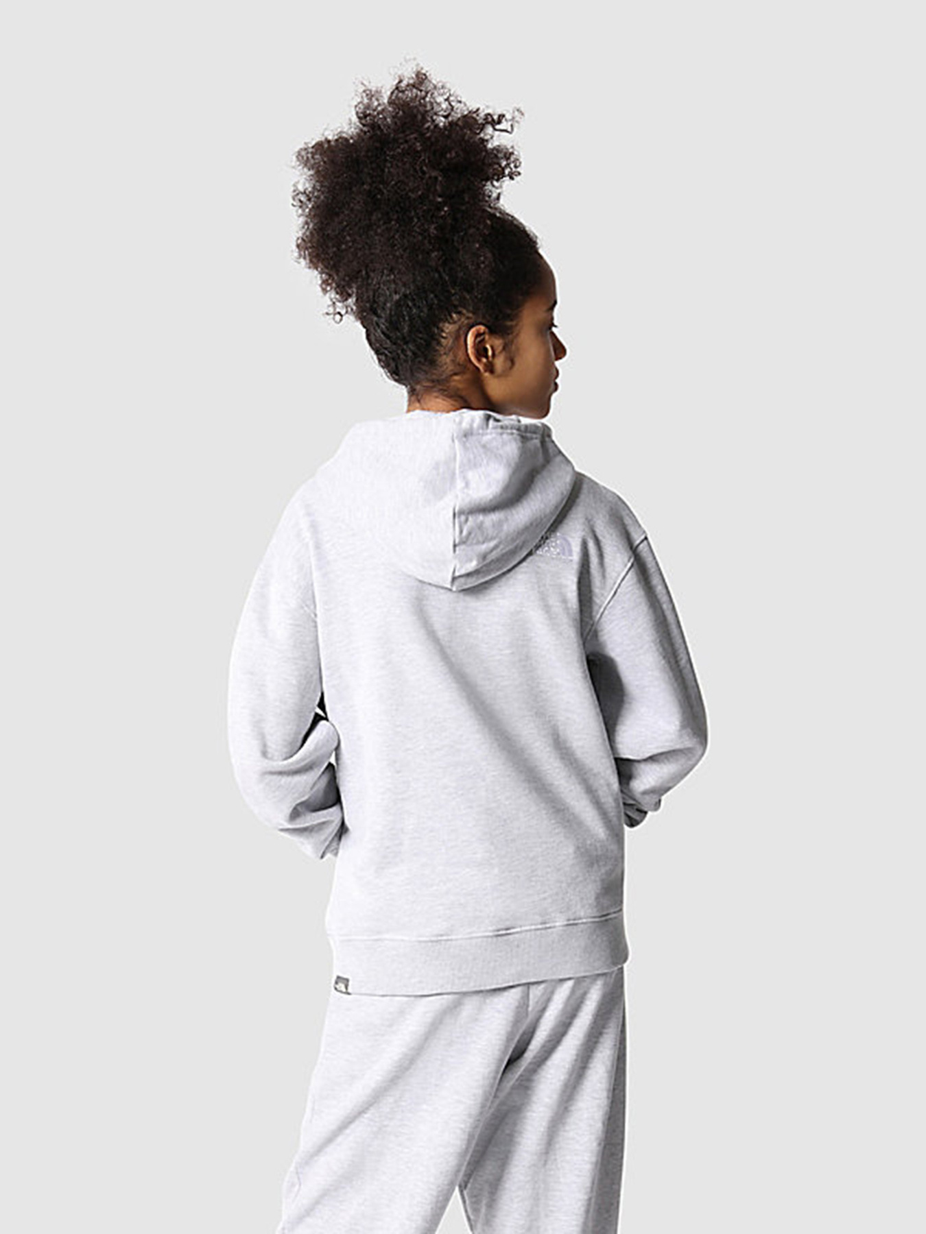 Худі та світшоти The North Face Oversized модель NF0A7X4UDYX1 Фото