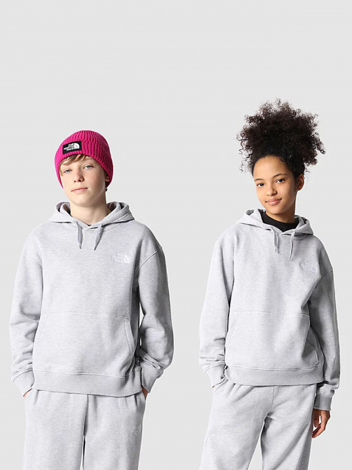 Худі та світшоти The North Face Oversized модель NF0A7X4UDYX1 Фото