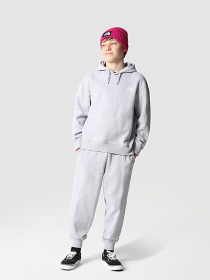 Худі та світшоти The North Face Oversized модель NF0A7X4UDYX1 Фото