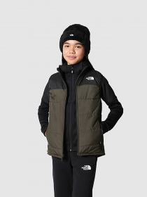 Куртки та дублянки The North Face NEVER STOP модель NF0A7ZEK21L1 Фото