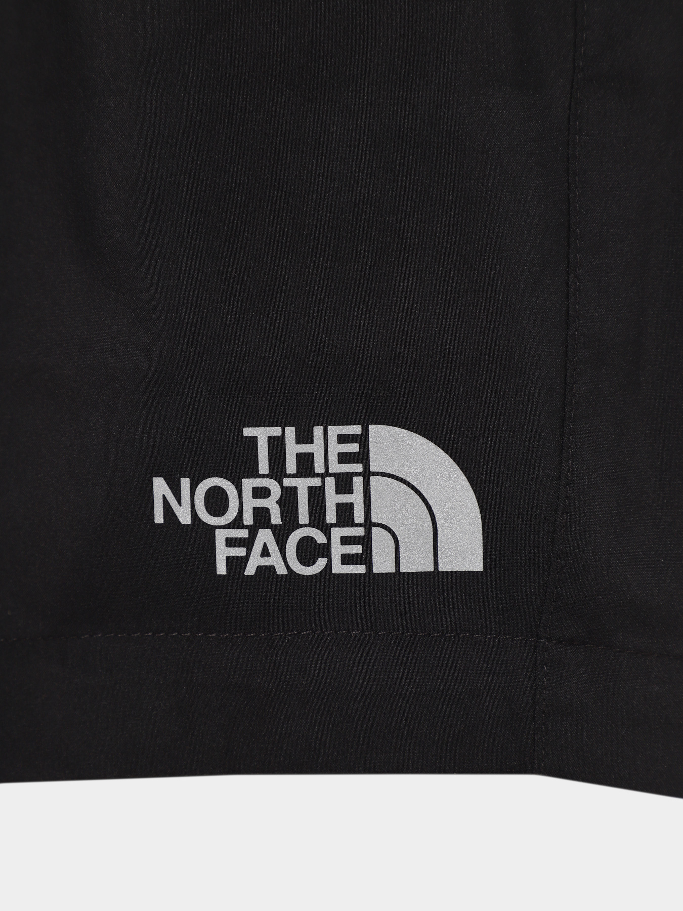 Шорты The North Face Never Stop модель NF0A82DLJK31 Фото