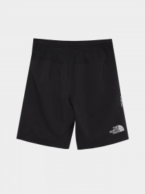 Шорты The North Face Never Stop модель NF0A82DLJK31 Фото