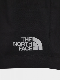 Шорты The North Face Never Stop модель NF0A82DLJK31 Фото