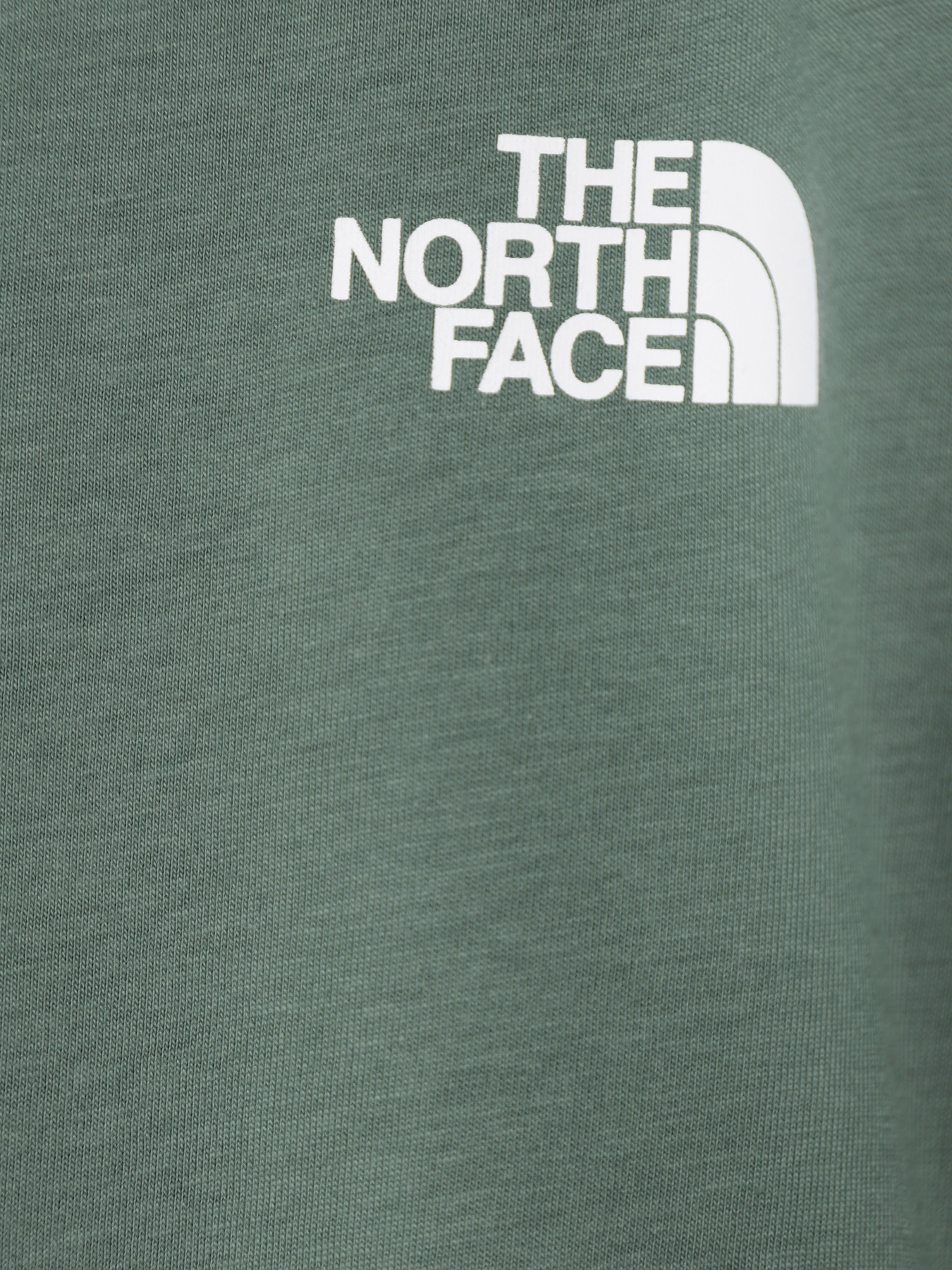Футболки і поло The North Face Red Box модель NF0A82E9O241 Футболки і поло The North Face Red Box модель NF0A82E9O241 Фото