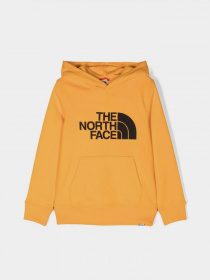 Худі та світшоти The North Face Drew Peak модель NF0A82EN56P1 Фото