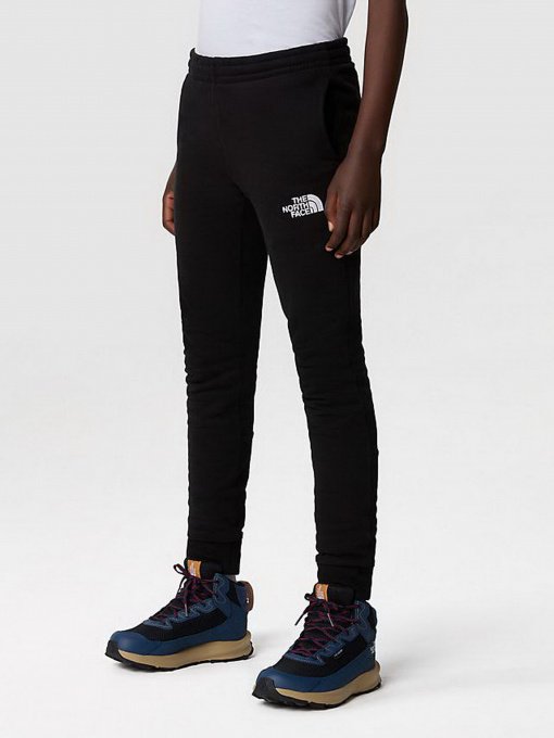 Штани The North Face SLACKER JOGGERS модель NF0A82EOJK31 Фото