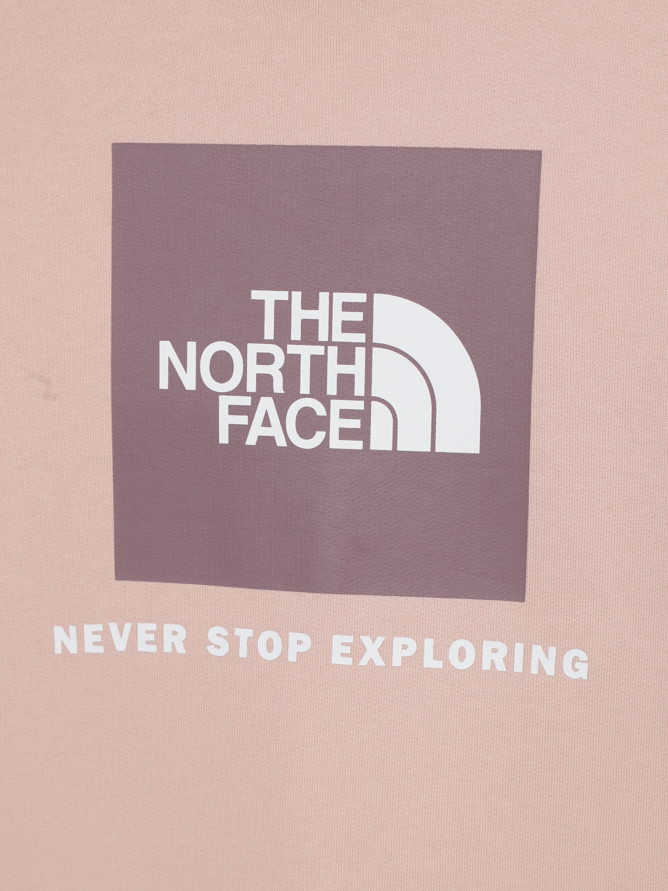Худи и свитшоты The North Face Redbox модель NF0A82EPOU61 Худи и свитшоты The North Face Redbox модель NF0A82EPOU61 Фото