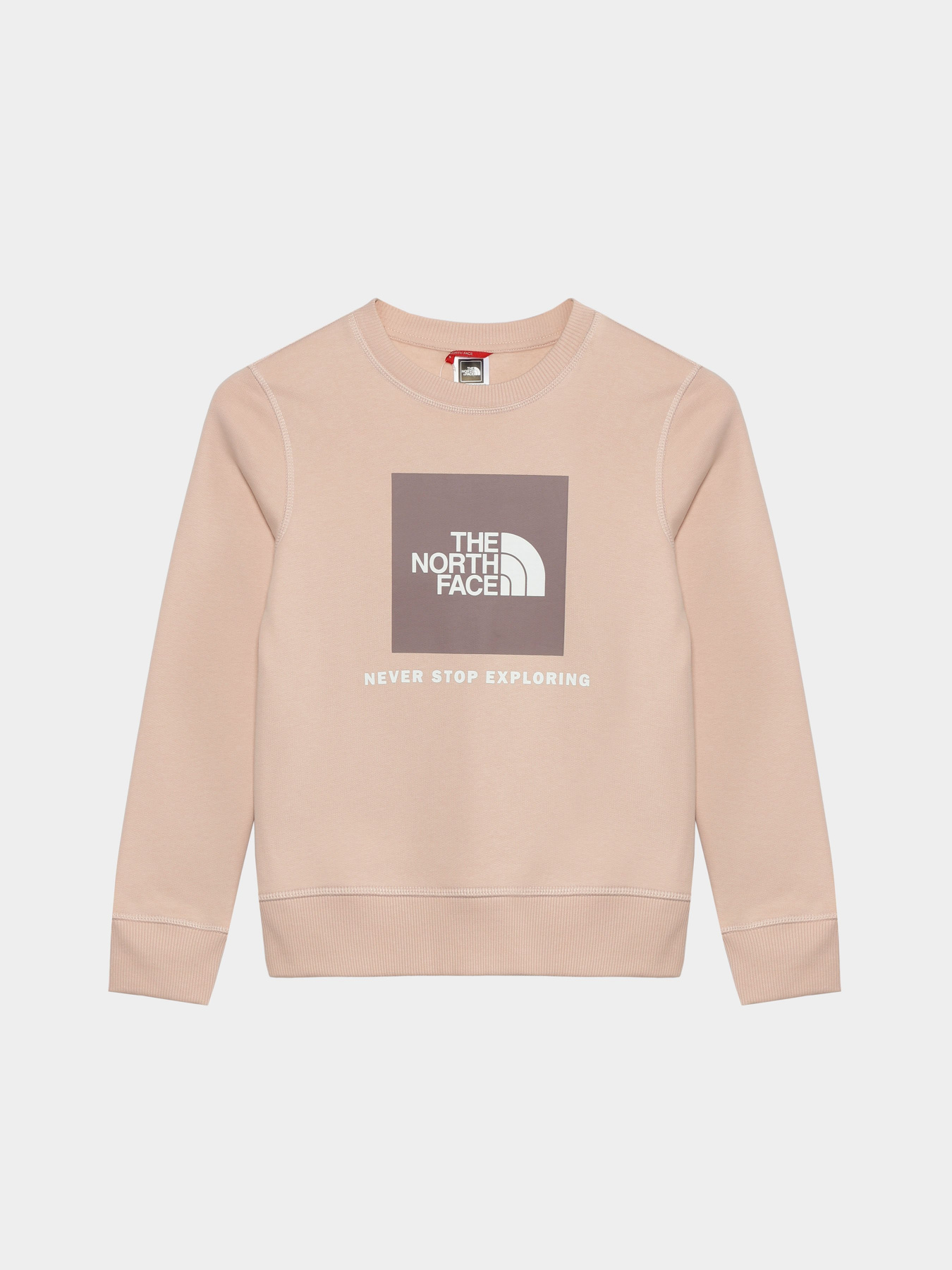 Худи и свитшоты The North Face Redbox модель NF0A82EPOU61 Худи и свитшоты The North Face Redbox модель NF0A82EPOU61 Фото