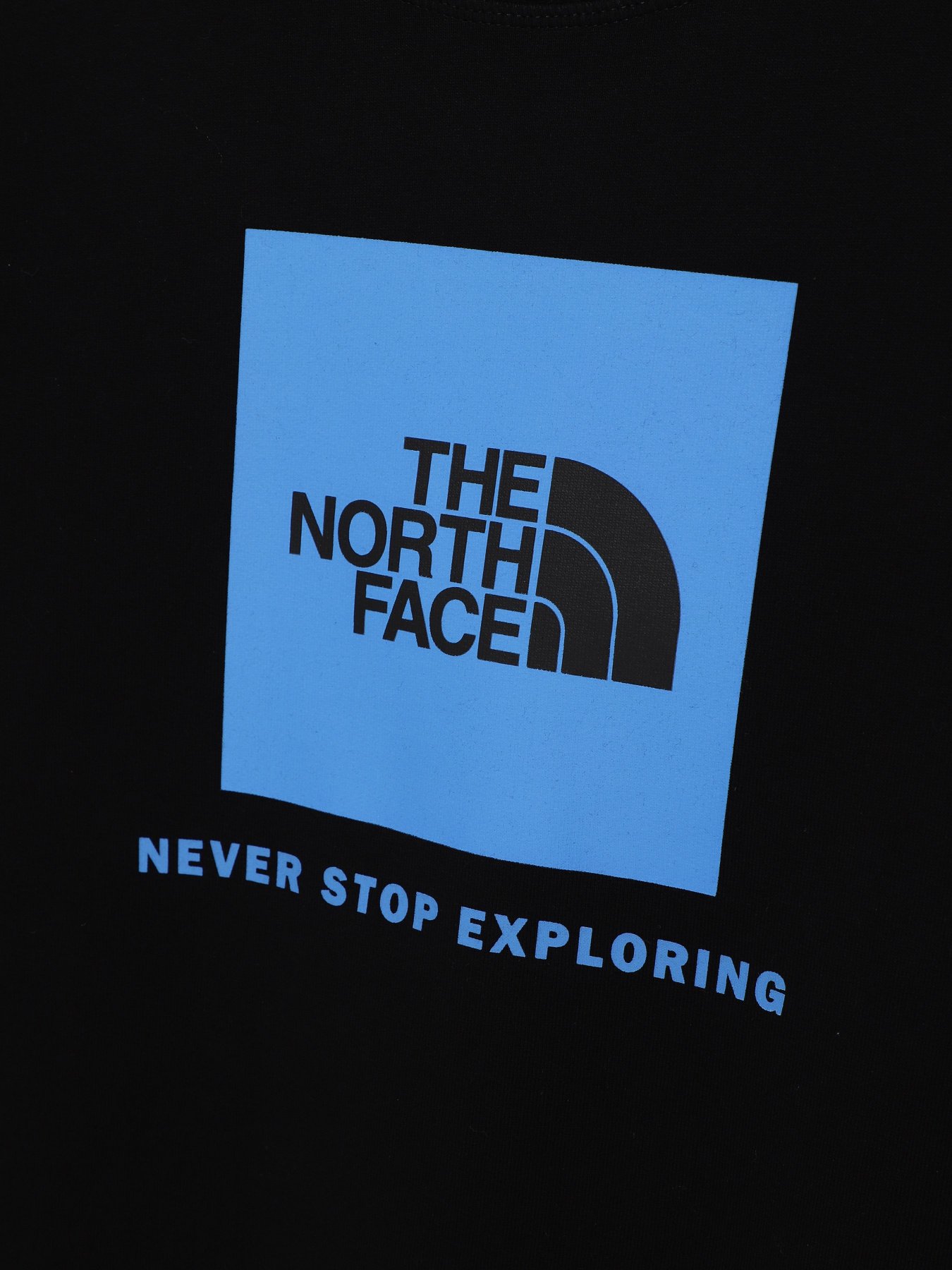Худі та світшоти The North Face Redbox модель NF0A82EPOGF1 Фото