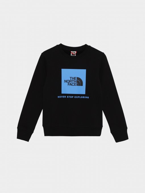 Худі та світшоти The North Face Redbox модель NF0A82EPOGF1 Фото