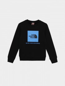 Худі та світшоти The North Face Redbox модель NF0A82EPOGF1 Фото