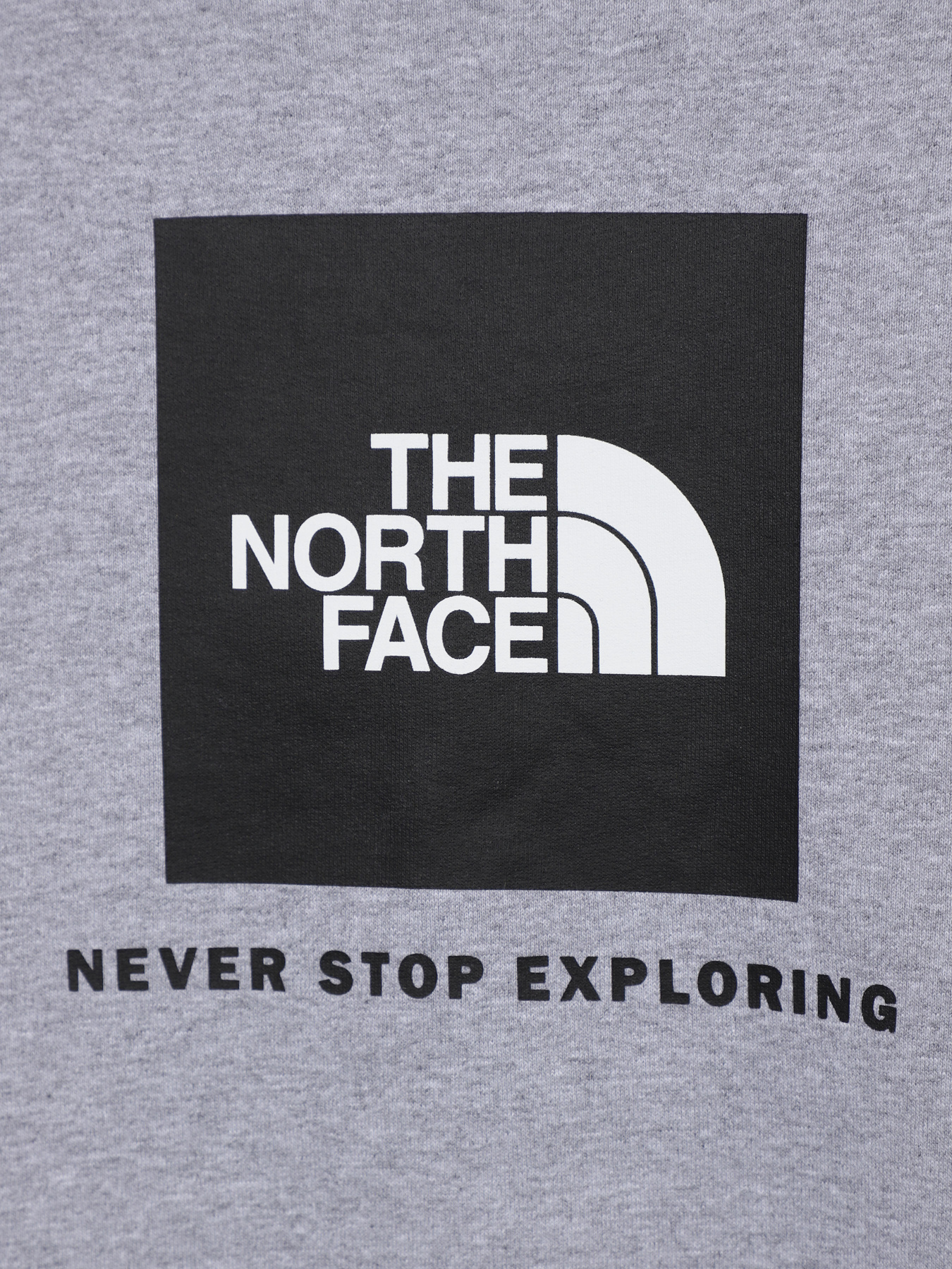 Худи и свитшоты The North Face Redbox модель NF0A82EPGAU1 Худи и свитшоты The North Face Redbox модель NF0A82EPGAU1 Фото