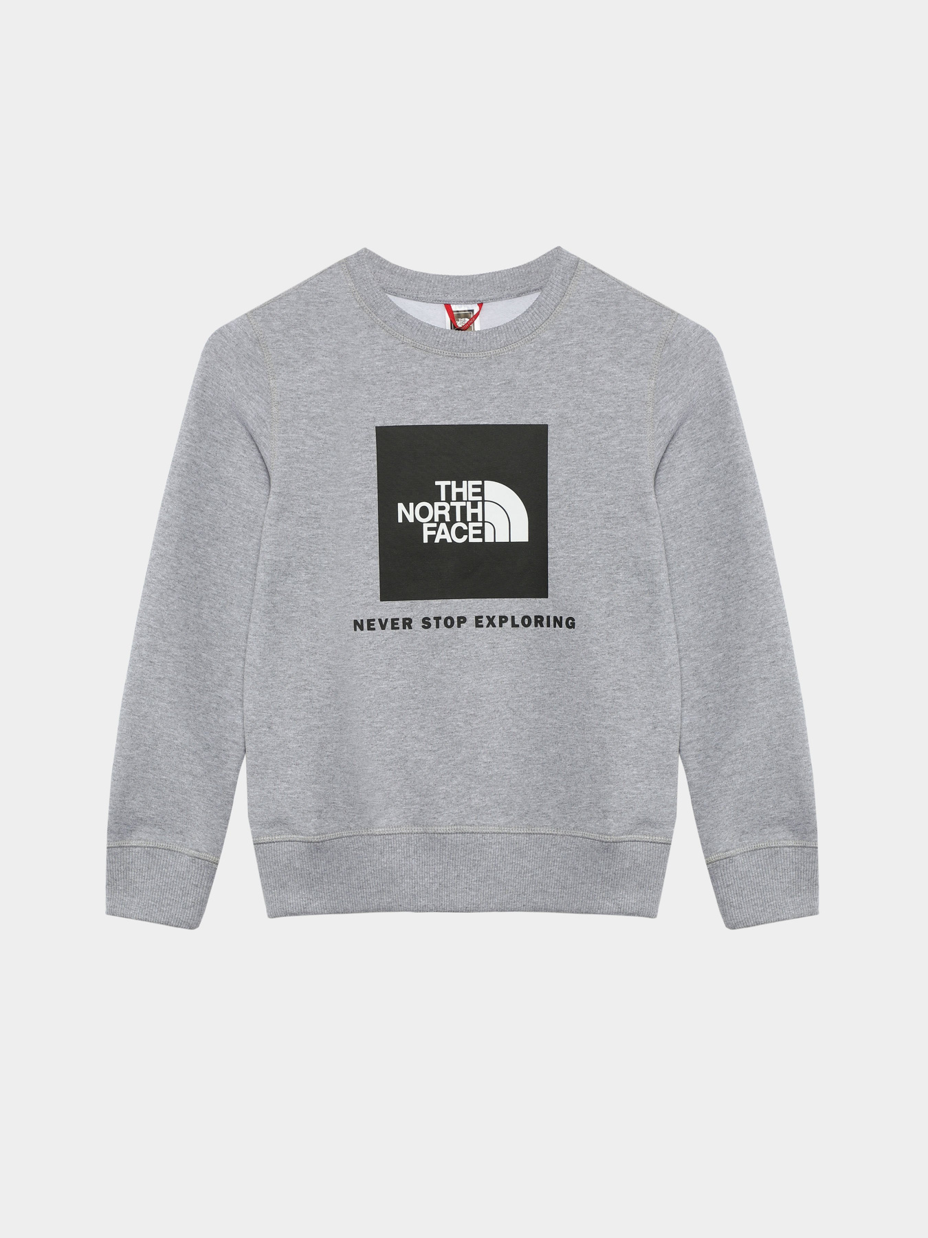 Худи и свитшоты The North Face Redbox модель NF0A82EPGAU1 Худи и свитшоты The North Face Redbox модель NF0A82EPGAU1 Фото