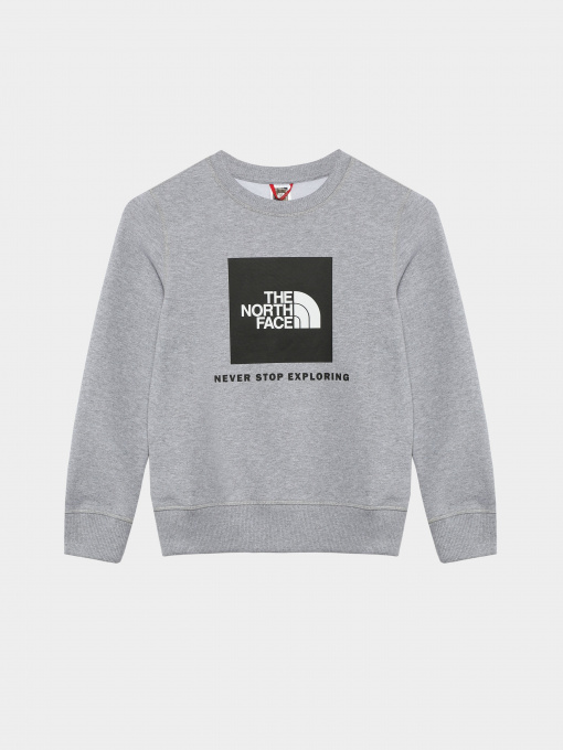 Худі та світшоти The North Face Redbox модель NF0A82EPGAU1 Фото