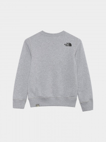 Худи и свитшоты The North Face Redbox модель NF0A82EPGAU1 Фото