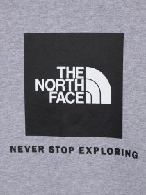 Худи и свитшоты The North Face Redbox модель NF0A82EPGAU1 Фото