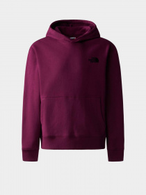 Худі та світшоти The North Face Teen Oversized модель NF0A82GJI0H1 Фото