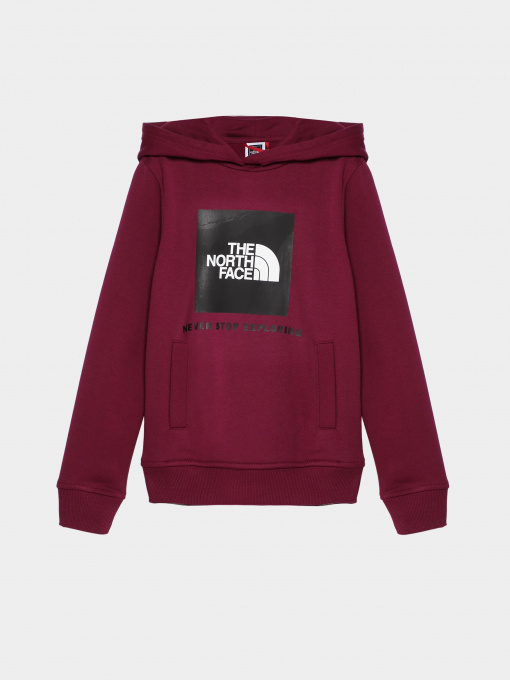 Худі та світшоти The North Face Teens Box P/O модель NF0A855BI0H1 Фото