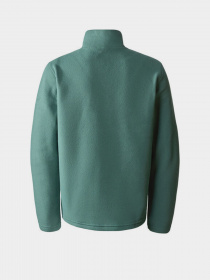 Худи и свитшоты The North Face Teen Glacier Fleece 1/4 Zip модель NF0A82D1I0F1 Фото