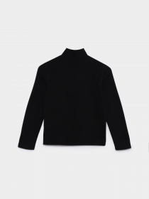 Худи и свитшоты The North Face Teen Glacier Fleece 1/4 Zip модель NF0A82D1JK31 Фото