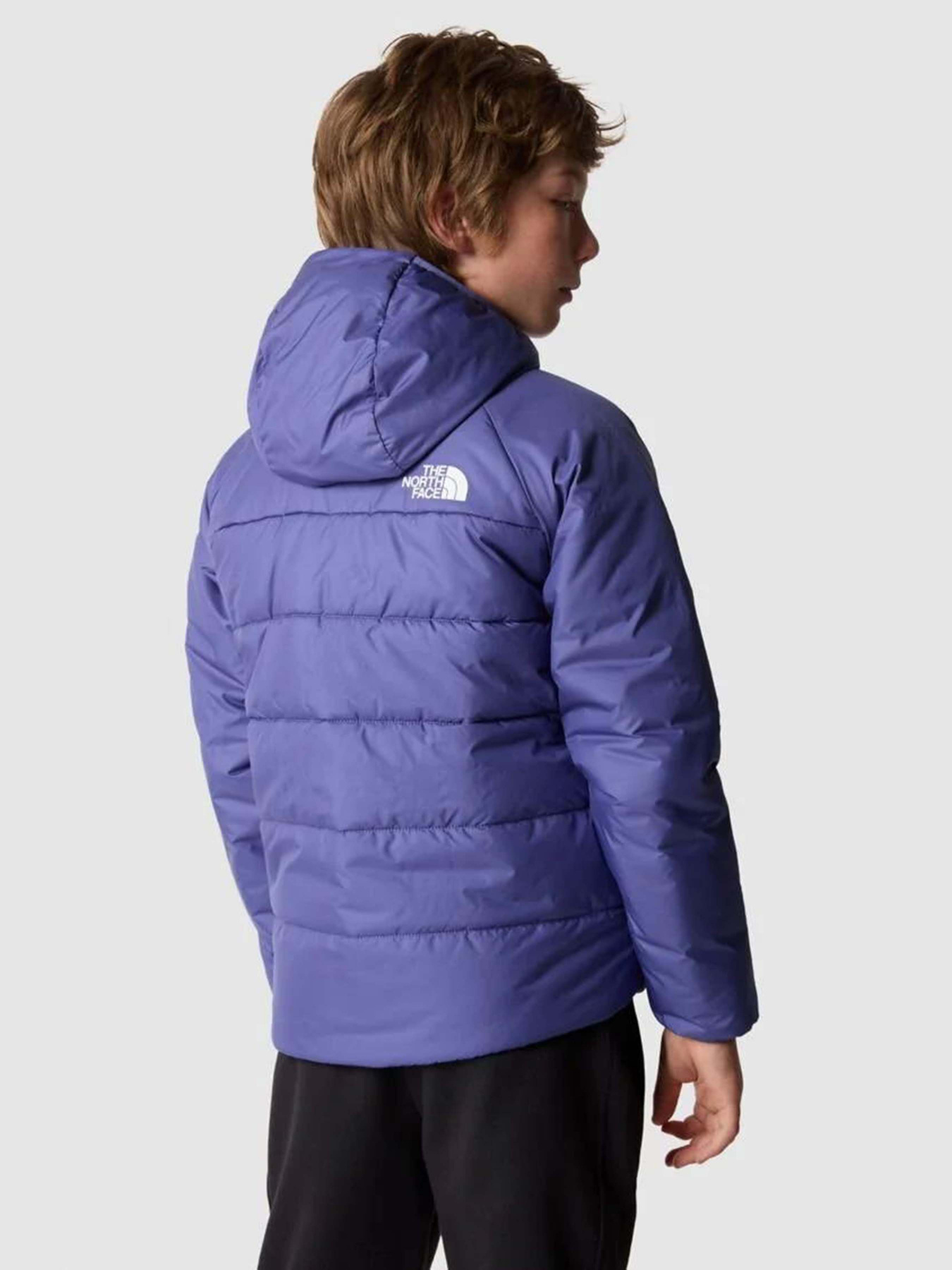 Куртки и дубленки The North Face Reversible Perrito модель NF0A82DAOSX1 Фото
