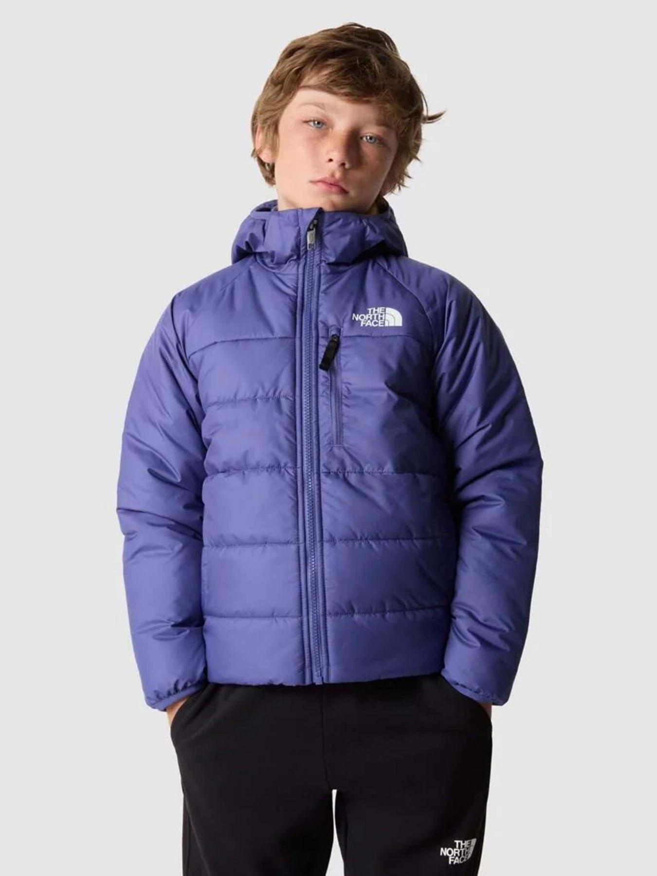 Куртки и дубленки The North Face Reversible Perrito модель NF0A82DAOSX1 Фото