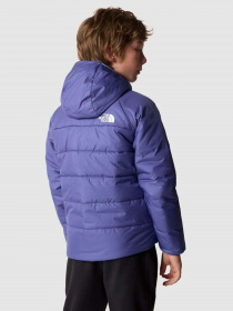 Куртки и дубленки The North Face Reversible Perrito модель NF0A82DAOSX1 Фото