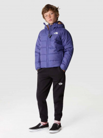 Куртки и дубленки The North Face Reversible Perrito модель NF0A82DAOSX1 Фото