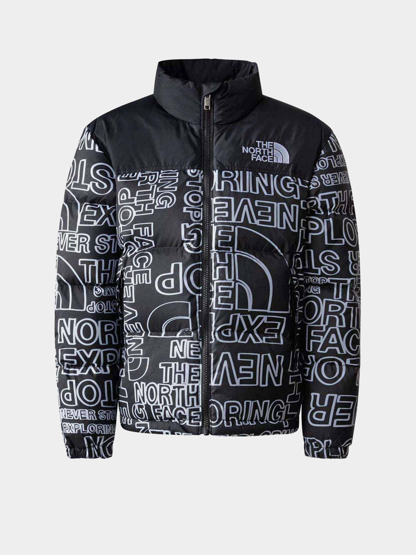 Куртки и дубленки The North Face 1996 Retro Nuptse модель NF0A82UDORI1 Фото