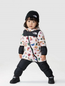 Комбінезони The North Face 1996 Retro Nuptse One-Piece модель NF0A7WPFOOZ1 Фото