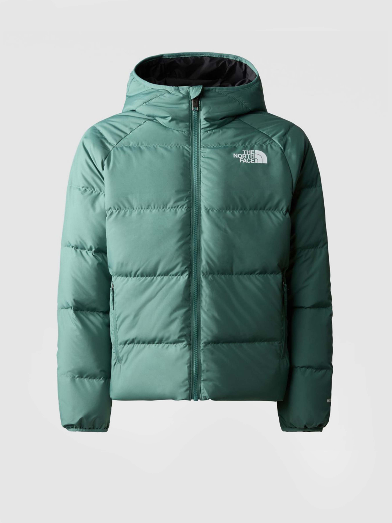 Куртки та дублянки The North Face REVERSIBLE NORTH модель NF0A82XZI0F1 Фото