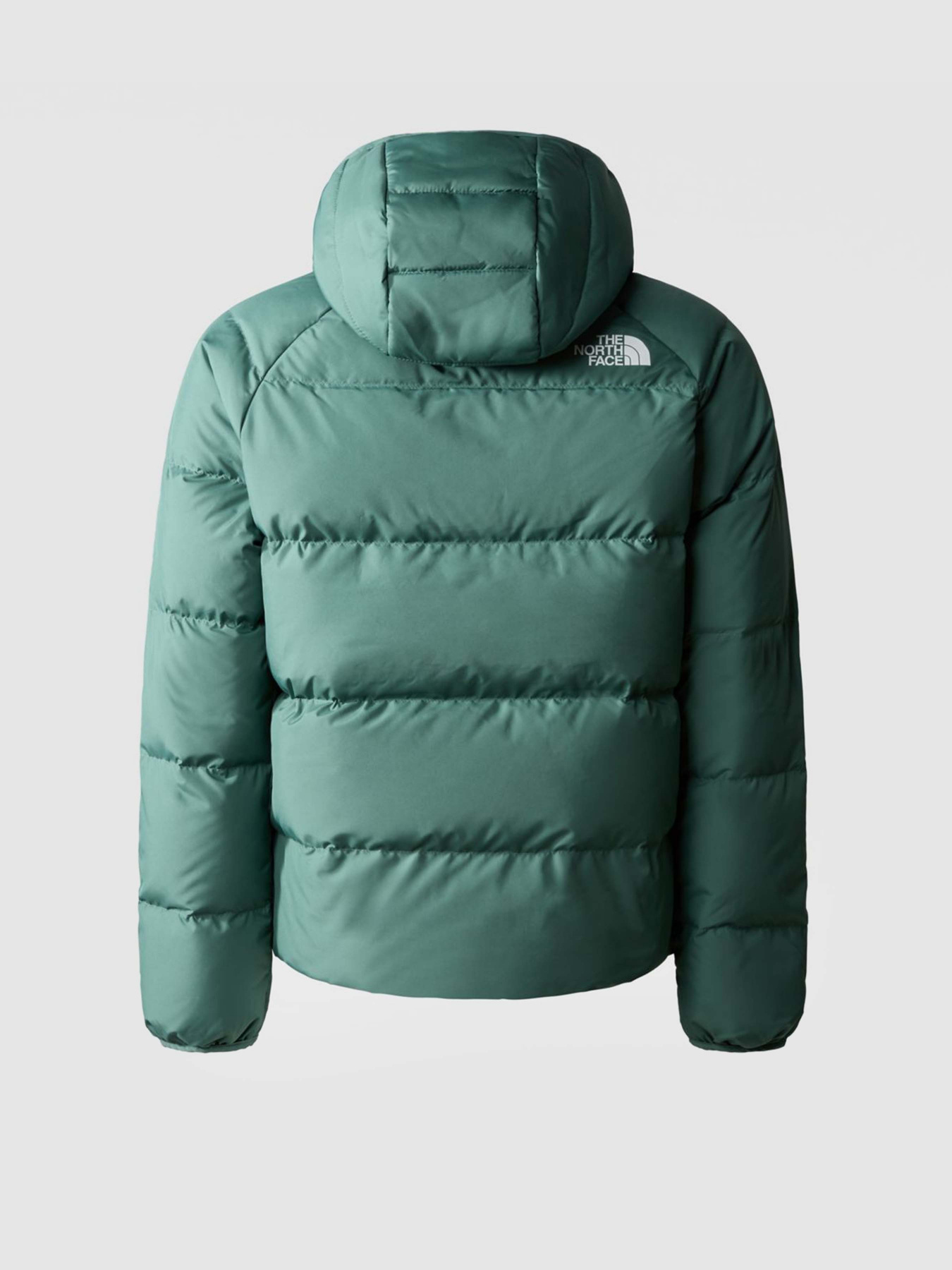 Куртки та дублянки The North Face REVERSIBLE NORTH модель NF0A82XZI0F1 Фото