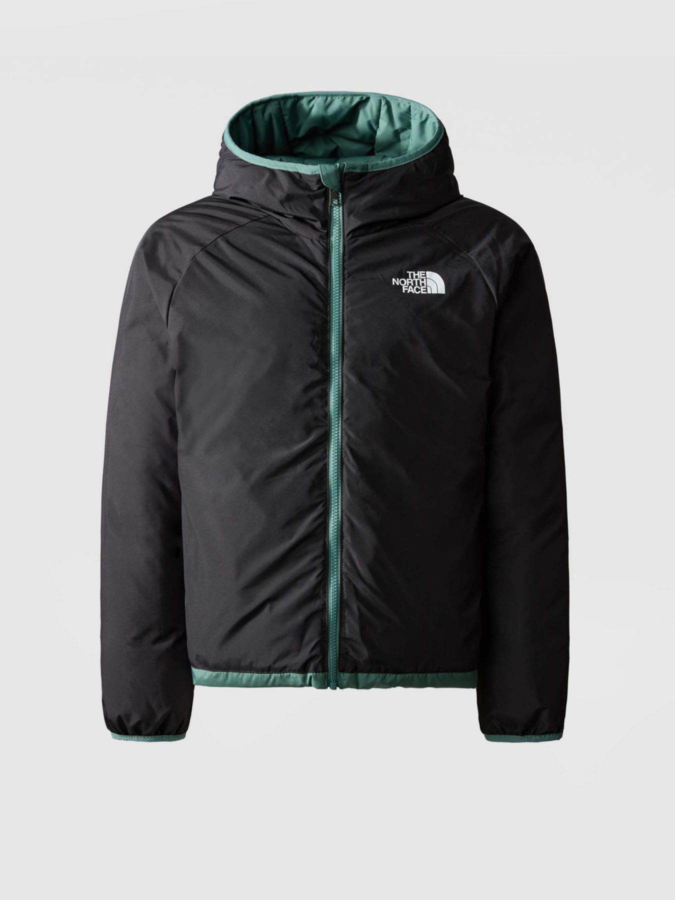 Куртки та дублянки The North Face REVERSIBLE NORTH модель NF0A82XZI0F1 Фото