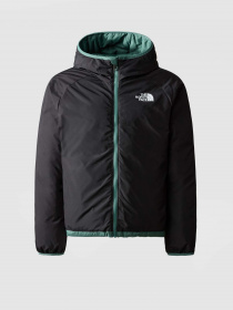 Куртки та дублянки The North Face REVERSIBLE NORTH модель NF0A82XZI0F1 Фото