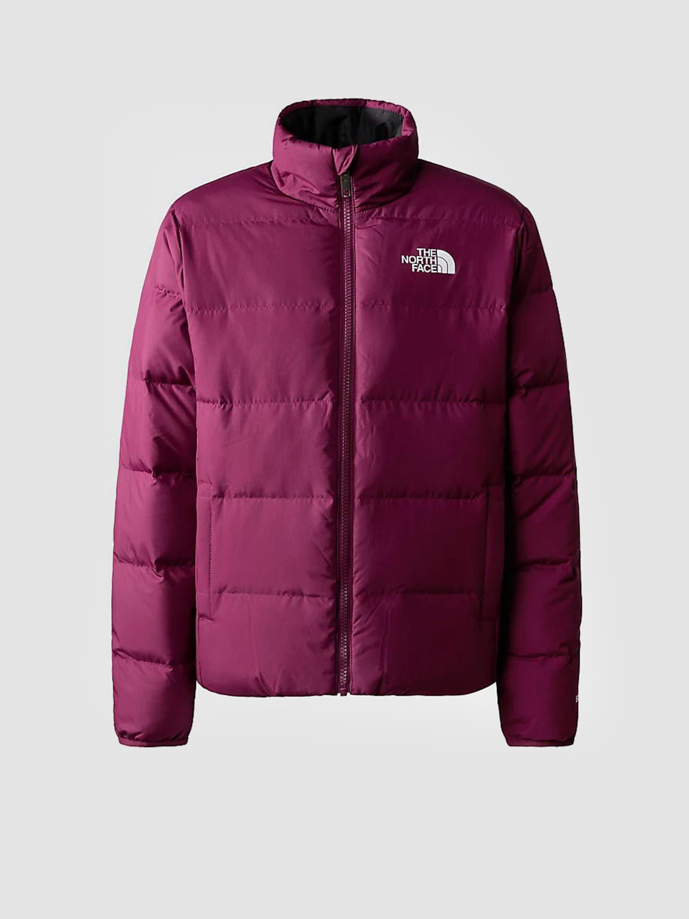 Куртки та дублянки The North Face REVERSIBLE NORTH DOWN модель NF0A82YUI0H1 Фото