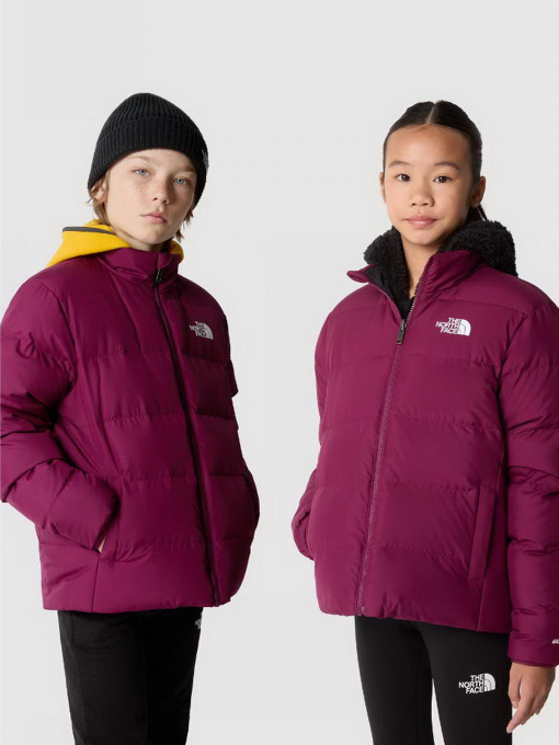Куртки и дубленки The North Face REVERSIBLE NORTH DOWN модель NF0A82YUI0H1 Фото
