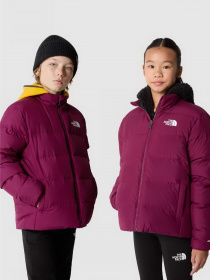 Куртки и дубленки The North Face REVERSIBLE NORTH DOWN модель NF0A82YUI0H1 Фото