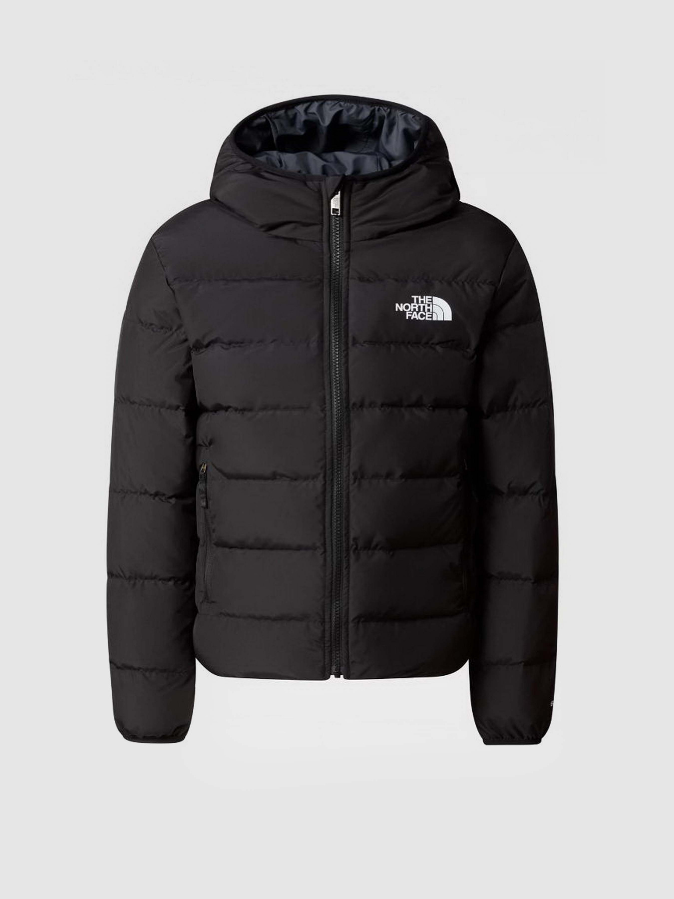 Куртки та дублянки The North Face REVERSIBLE NORTH модель NF0A84N6JK31 Фото