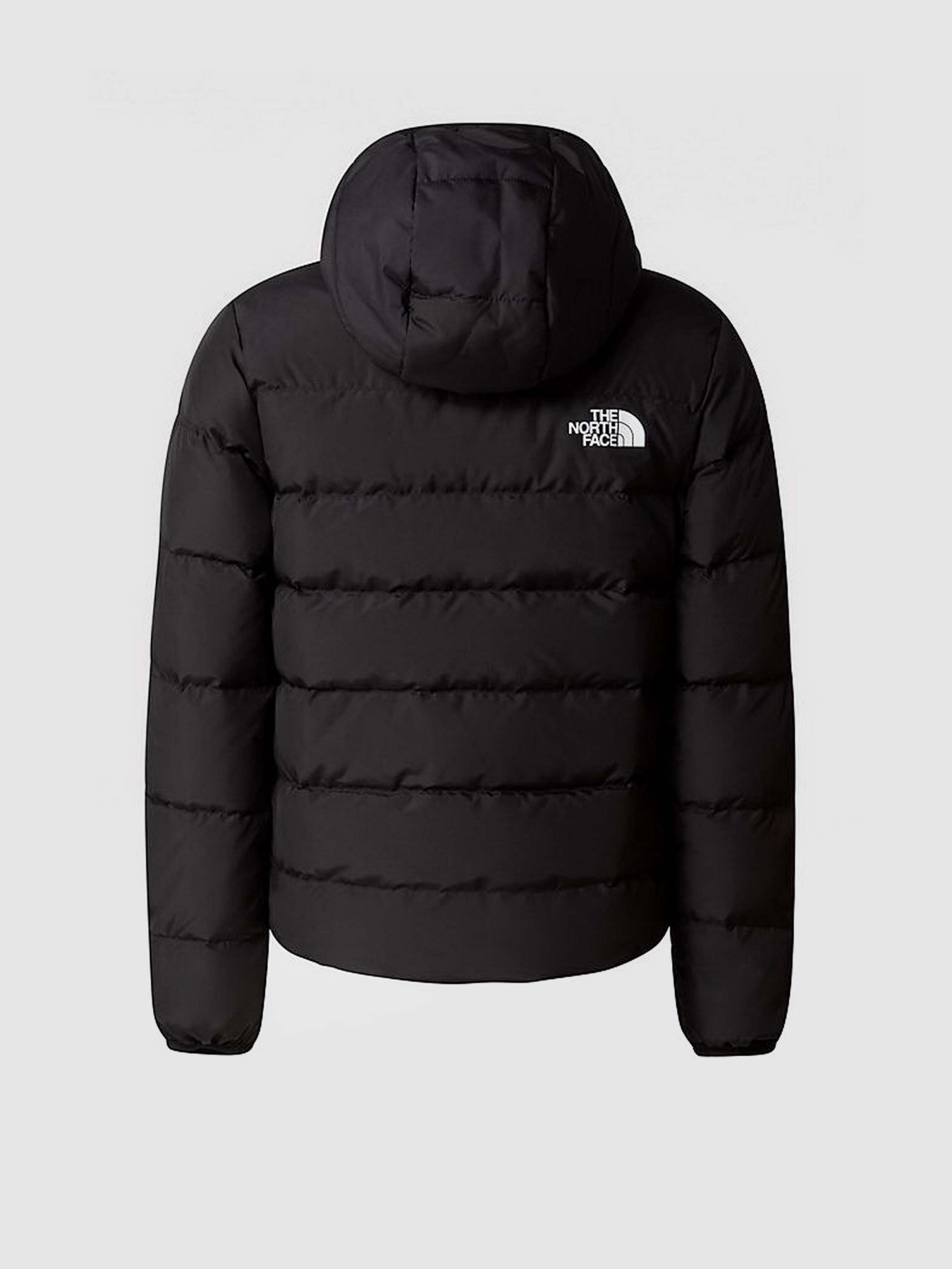 Куртки та дублянки The North Face REVERSIBLE NORTH модель NF0A84N6JK31 Фото