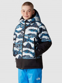 Куртки и дубленки The North Face Freedom Insulated модель NF0A82XQO3Q1 Фото