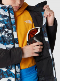 Куртки и дубленки The North Face Freedom Insulated модель NF0A82XQO3Q1 Фото