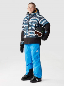 Куртки и дубленки The North Face Freedom Insulated модель NF0A82XQO3Q1 Фото