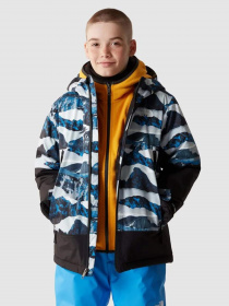 Куртки и дубленки The North Face Freedom Insulated модель NF0A82XQO3Q1 Фото