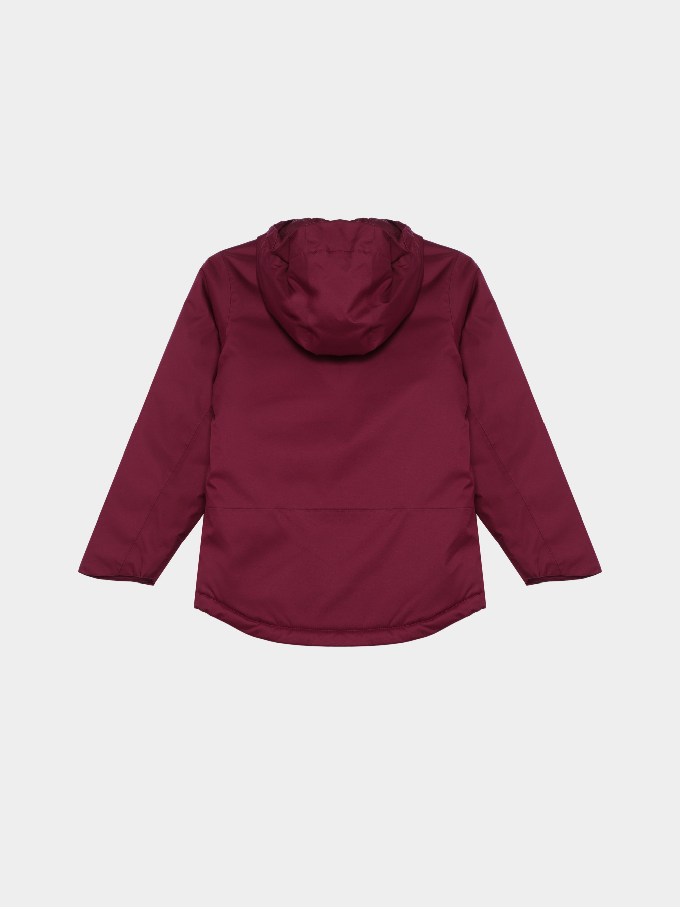 Куртки и дубленки The North Face Freedom Insulated модель NF0A82Y6I0H1 Фото